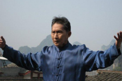 Bu-Di-Zhen-4