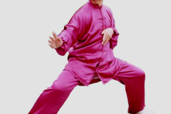 Master Peter Wu Shi-Zeng