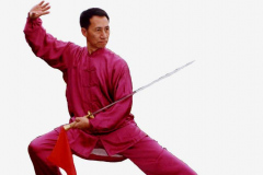 Master-Peter-Wu-2